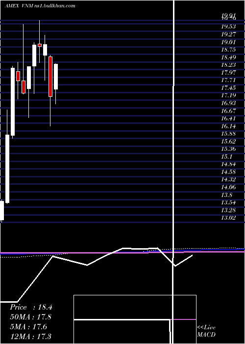  monthly chart VietnamEtf
