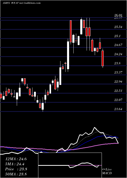  Daily chart TeucriumWheat