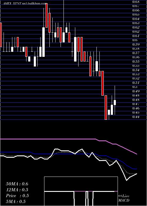  Daily chart XtantMedical
