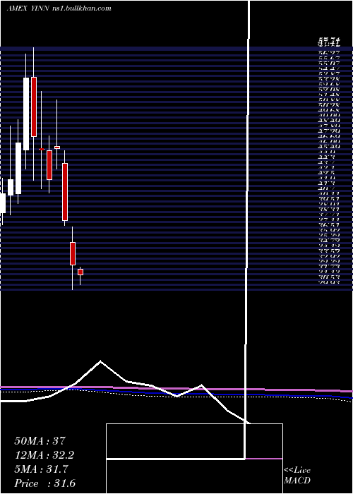  monthly chart DirexionDaily