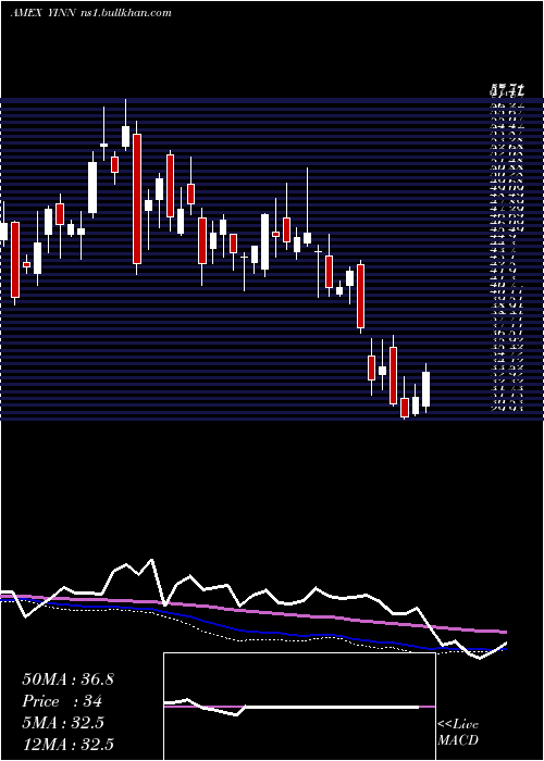  weekly chart DirexionDaily