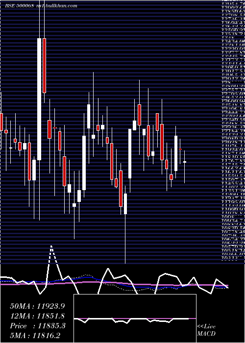  weekly chart DisaIndia