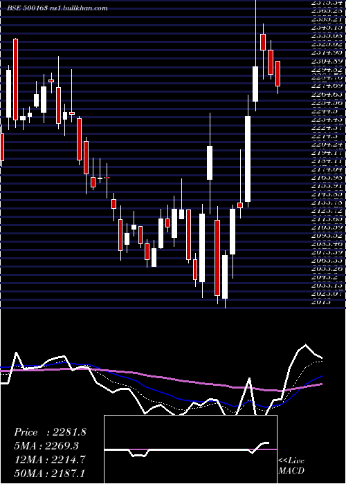  Daily chart GodfreyPh