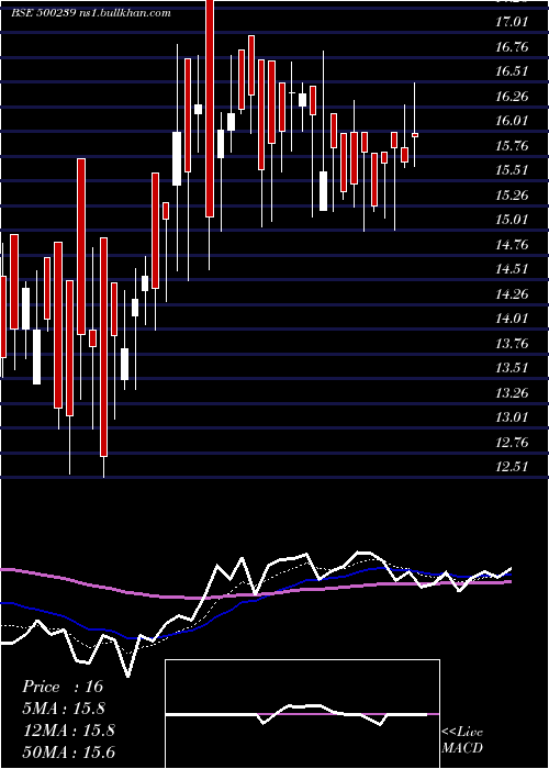  Daily chart KgDenim