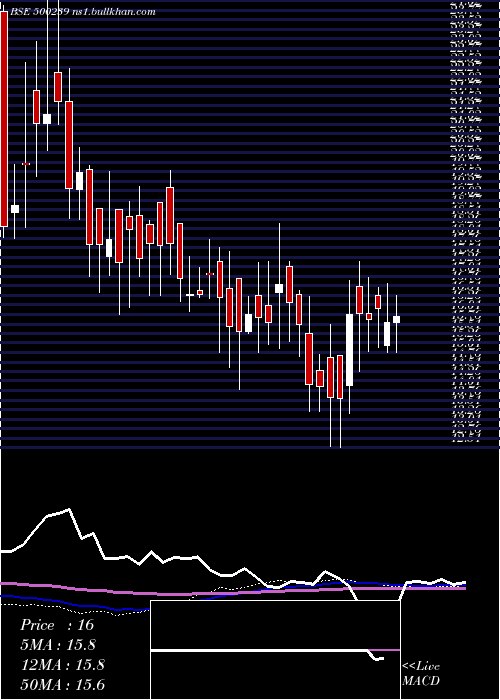  weekly chart KgDenim
