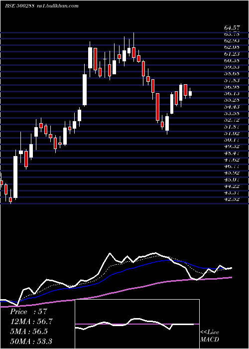  Daily chart MorepenLab