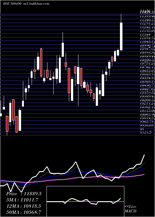  Daily chart BajHold