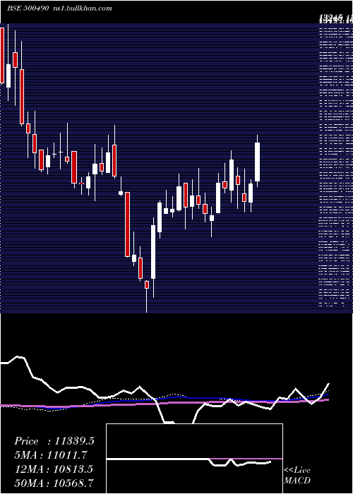  weekly chart BajHold