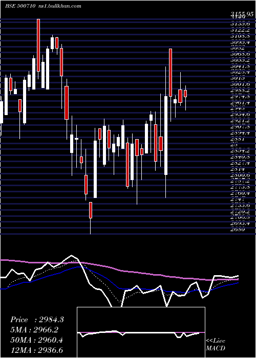  Daily chart Akzoindia