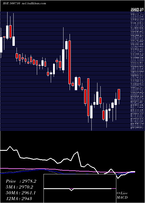  weekly chart Akzoindia