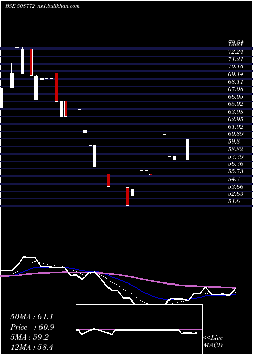  Daily chart ModellaWool