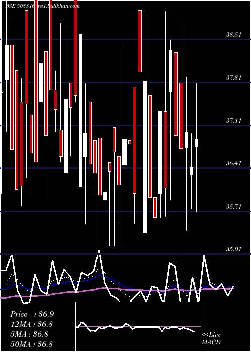  Daily chart SwadPolytex