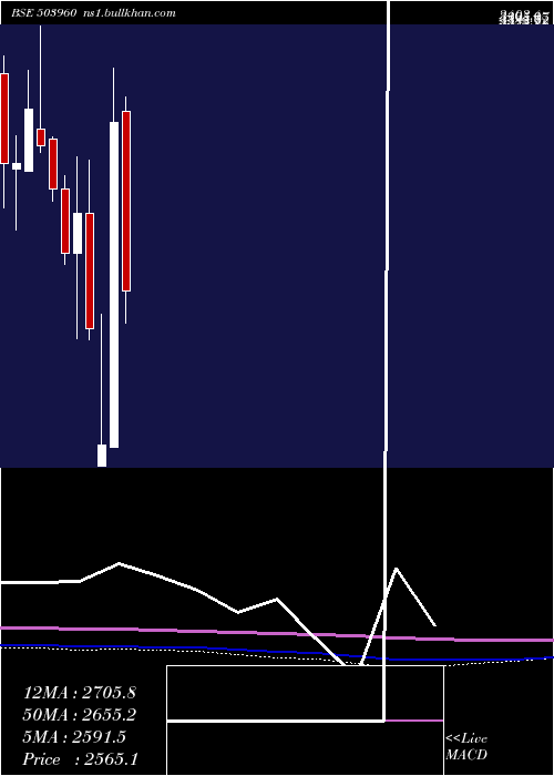  monthly chart BharatBijle