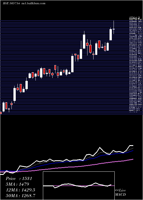  Daily chart GabrielI