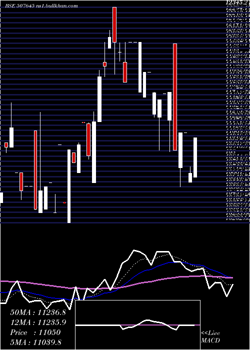  Daily chart Polson