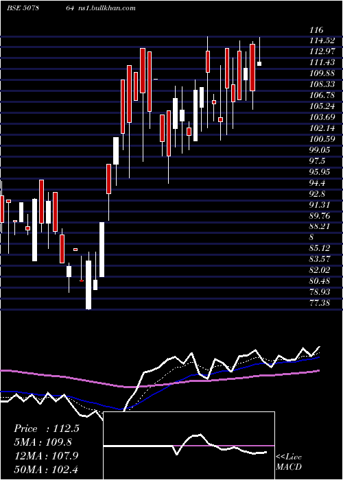  Daily chart PionInvest