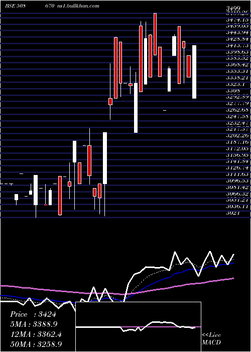 Daily chart Neelamalai