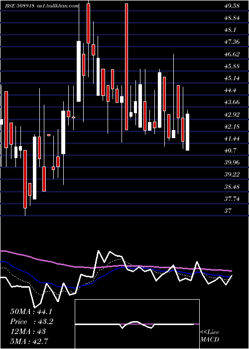  Daily chart Greycells