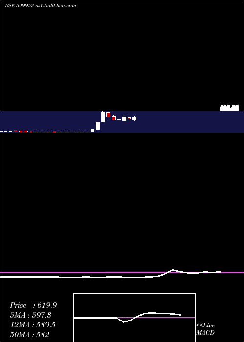  monthly chart TradeWings