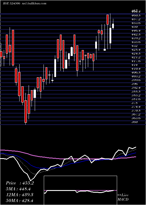  Daily chart CoralLab