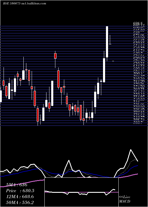  Daily chart SelanExplor