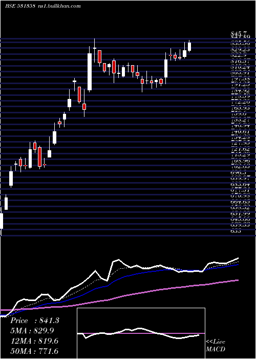  Daily chart ChoiceInt