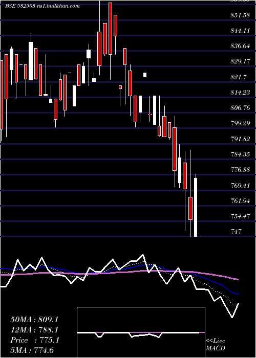  Daily chart Rajapamills