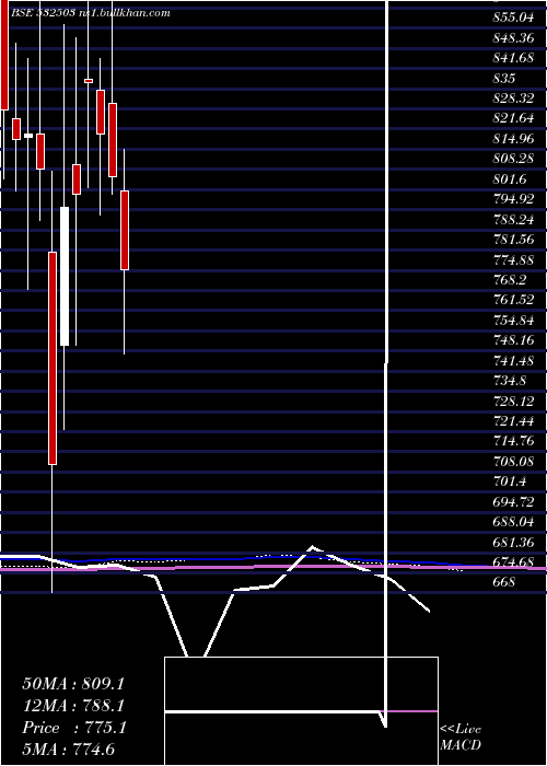  monthly chart Rajapamills