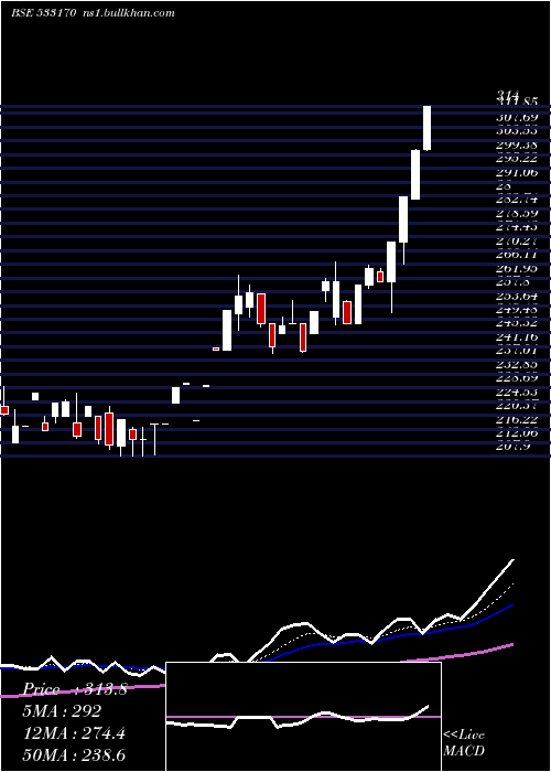  Daily chart TamboliCap