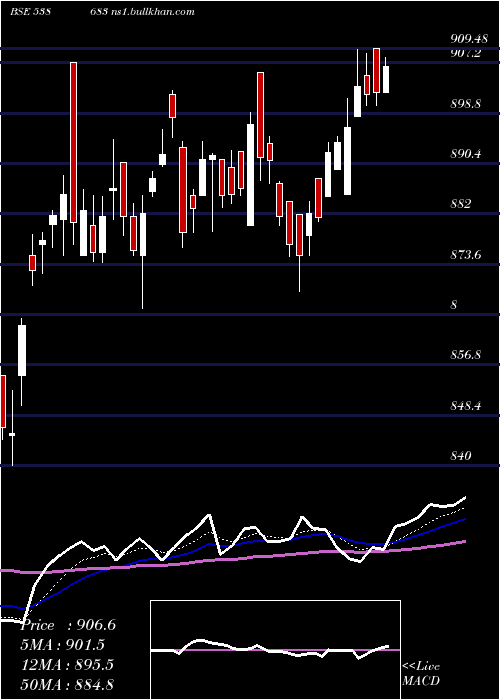  Daily chart Netfsensex