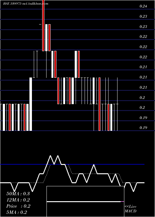  Daily chart Shreesec