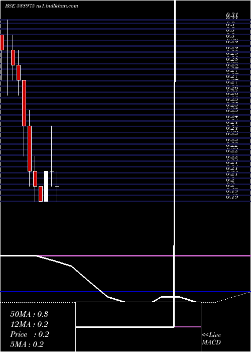  monthly chart Shreesec