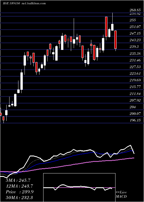  Daily chart Pncinfra