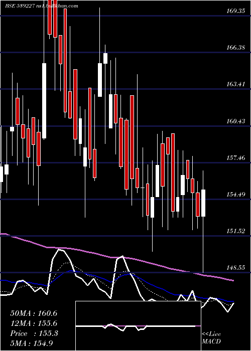  Daily chart Loyal