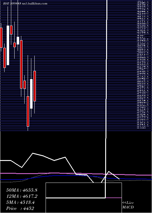  monthly chart Pilaniinvs