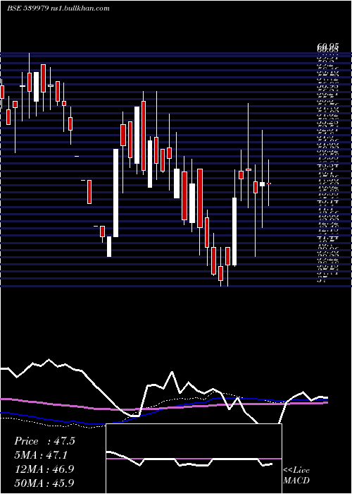  weekly chart Digjamltd
