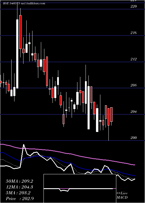  Daily chart Starcement