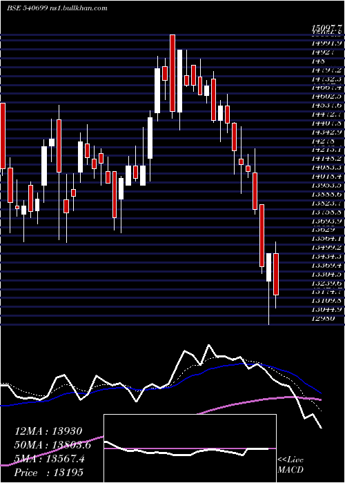  Daily chart Dixon