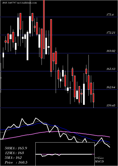  Daily chart Shalby