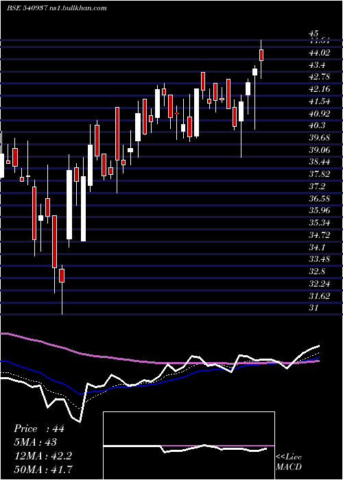  Daily chart Medico