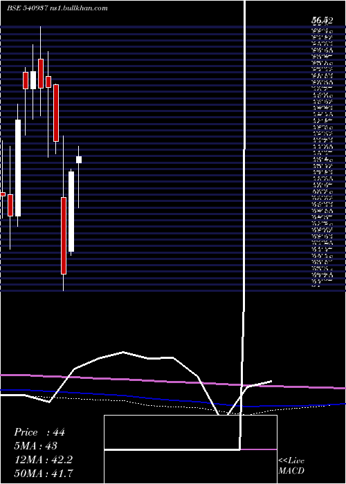  monthly chart Medico