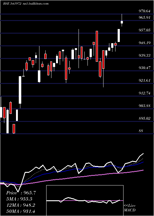  Daily chart Setfsn50