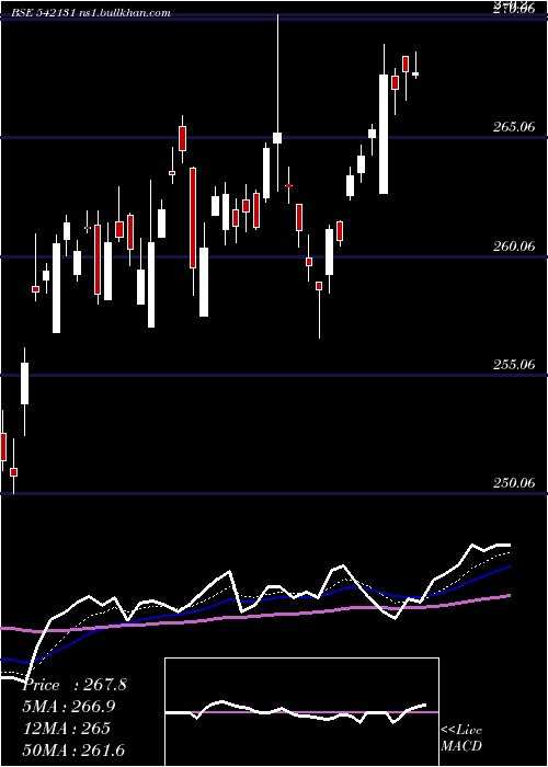  Daily chart Man50etf