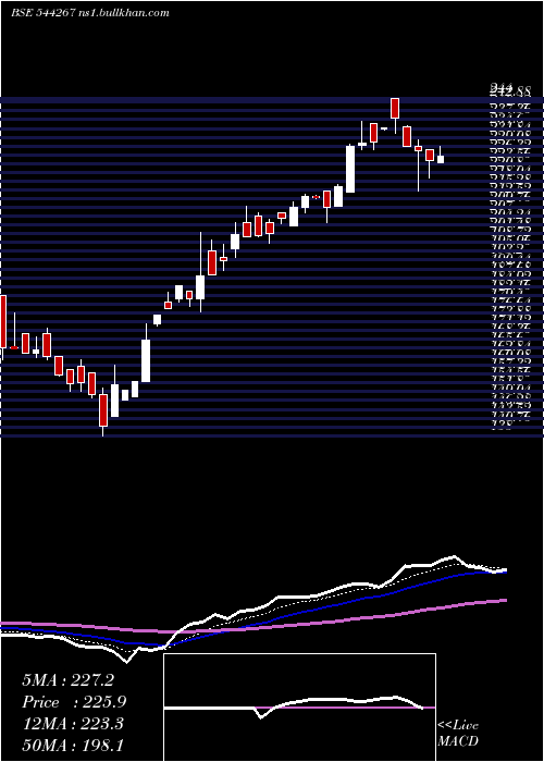  Daily chart SubamPapers