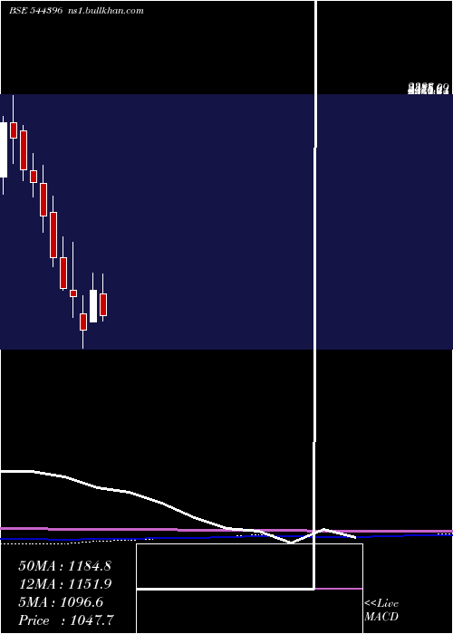  monthly chart NetworkPeople