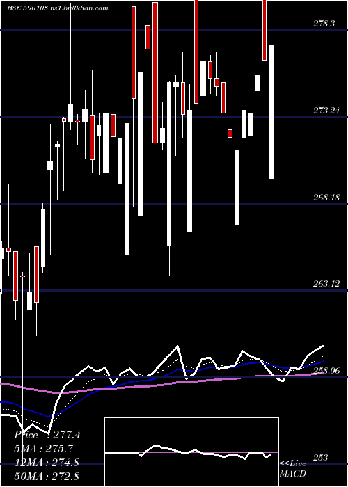 Daily chart Niftybees