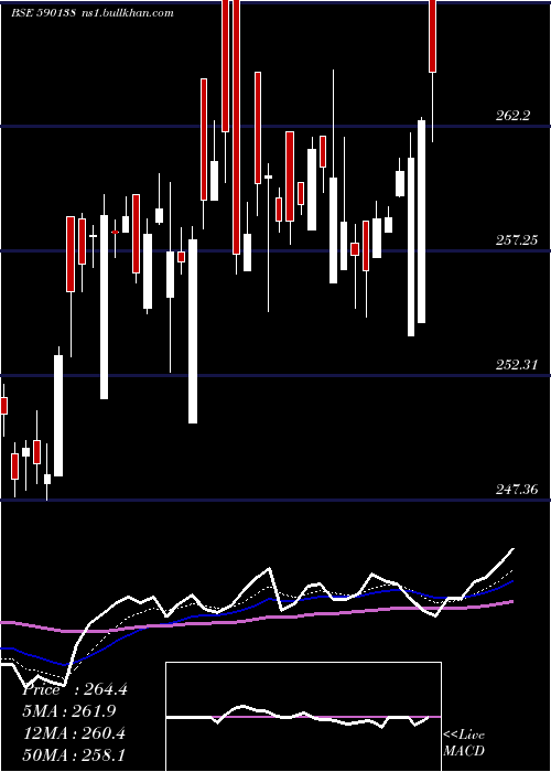  Daily chart Setfnif50