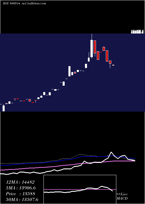  weekly chart Sgbfeb28