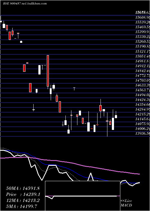  Daily chart Sgbdec29