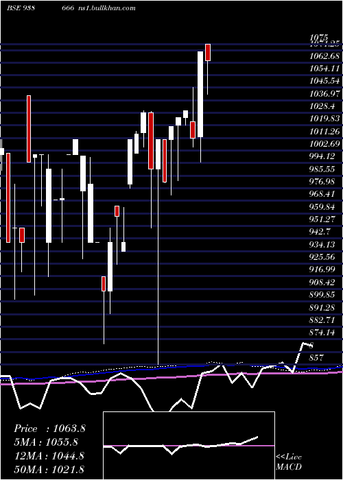  monthly chart 1045efs33
